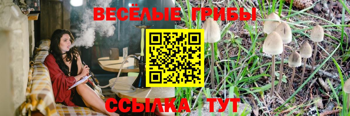 Псилоцибиновые грибы MAGIC MUSHROOMS Коряжма