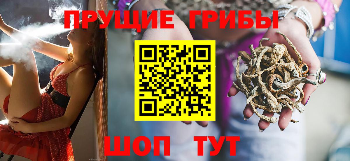 Коряжма  Псилоцибиновые грибы Psilocybe  Галлюциногенные грибы Psilocybe  Вход с VPN 